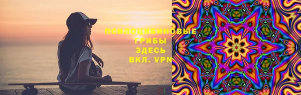 гидропоника Гусев