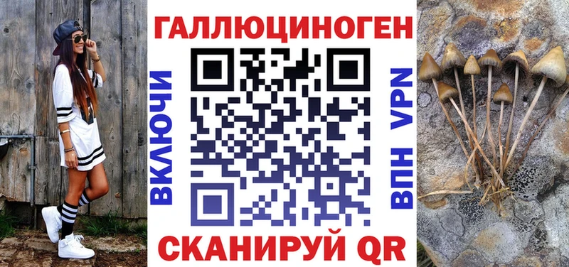 Купить закладки  Окуловка  Галлюциногенные грибы Cubensis 